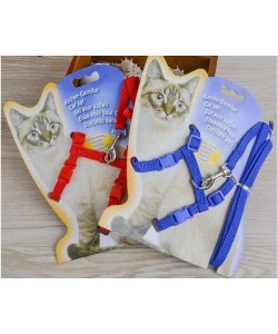 Kedi Boyun ve Göğüs Tasması