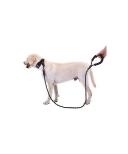 Reflektörlü Köpek Tasması 130 Cm.