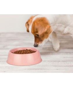 Mikopet Büyük Yuvarlak Mama Kabı Mikopet Büyük Yuvarlak Mama Kabı