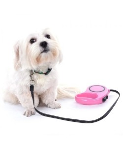 Otomatik Uzayan Köpek Tasması 3 METRE