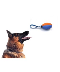 Köpek Diş Kaşıma Oyun Topu Köpek Diş Kaşıma Oyun Topu