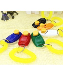 Köpek Eğitimi Clicker Köpek Eğitimi Clicker