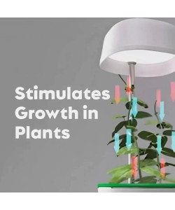 Hızlı Bitki Yetiştirme Saksısı Hızlı Bitki Yetiştirme Saksısı