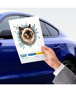 Fulcar Siamesse Araç Stickerı Fulcar Siamesse Araç Stickerı