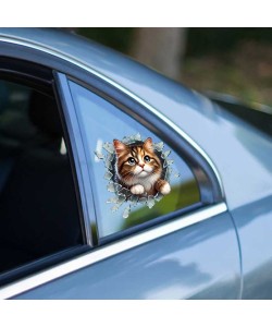 Fulcar Stray Araç Stickerı Fulcar Stray Araç Stickerı