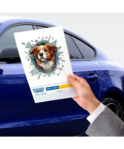 Fulcar Australian Shepherd Araç Stickerı Fulcar Australian Shepherd Araç Stickerı