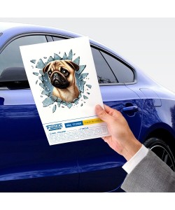 Fulcar French Bulldog Araç Stickerı Fulcar French Bulldog Araç Stickerı