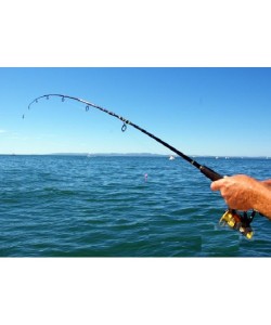 Misina İpi 300 Metre Misina İpi 300 Metre