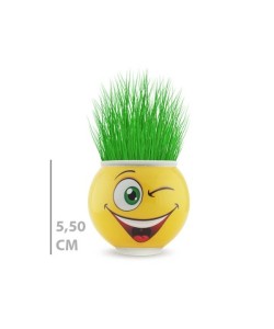 Çim Adam Saksı Emoji Figürlü 1 Adet Çim Adam Saksı Emoji Figürlü 1 Adet