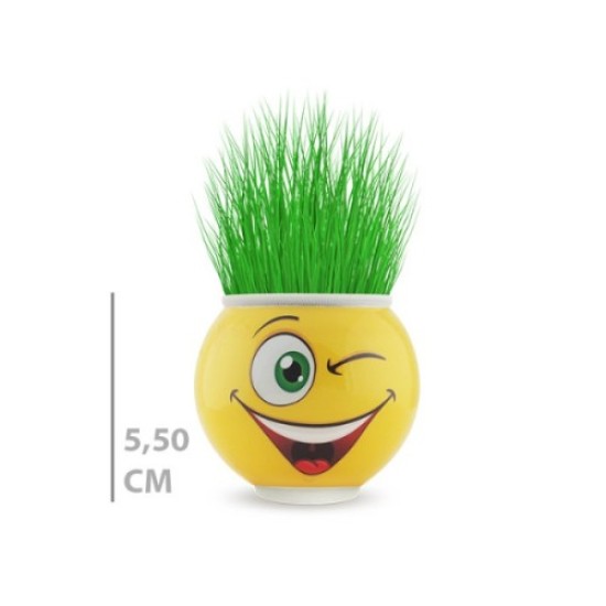 Çim Adam Saksı Emoji Figürlü 1 Adet Çim Adam Saksı Emoji Figürlü 1 Adet