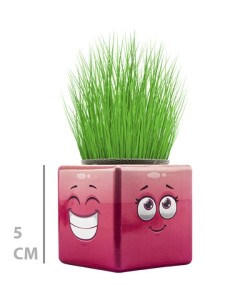 Çim Adam Mini Küp Emoji Figürlü 1 Adet Çim Adam Mini Küp Emoji Figürlü 1 Adet