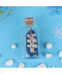 Orta Boy Şişe İçerisinde Gemi Maketi