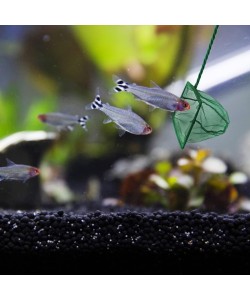 Akvaryum Balık Kepçesi 12 CM