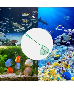 Akvaryum Balık Kepçesi 10 CM