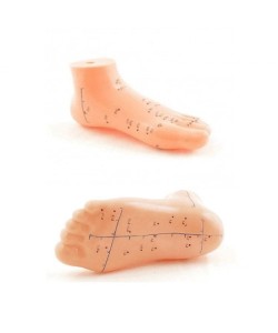 Ayak Akupunktur Bölgesi Maketi Ayak Akupunktur Bölgesi Maketi