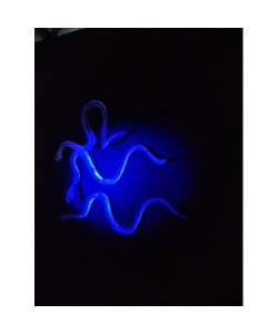 Şaka Yılan ve Kırkayak Karışık 36 Adet