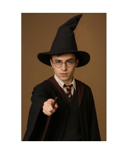 Harry Potter Seçmen Şapkası Siyah Renk Harry Potter Seçmen Şapkası Siyah Renk