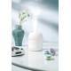 Humidifier Hava Nemlendirici Difüzör ve 3 adet Uçucu Yağı ile birlikte Japon kiraz, Lavanta, Amber