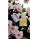 JACOS Japon Kiraz Sandal Egzotik Lotus Kokusu 8 ml Oto Araç Kokusu Ipli Asma Oto Parfümü 3'lü Set