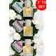 JACOS Yasemin Sandal Egzotik Lotus Kokusu 8 ml Oto Araç Kokusu Ipli Asma Oto Parfümü 3'lü Set