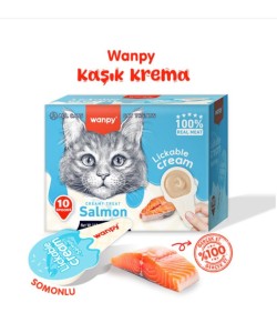 WANPY SOMONLU  KAŞIK KREMA KEDİ ÖDÜL MAMASI(10X16GR)